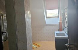 Casa individuala, 7 camere 3500 mp teren, zona exterior EST