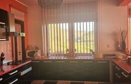 Casa individuala, 7 camere 3500 mp teren, zona exterior EST