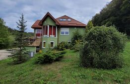 Casa de vânzare 7 camere Mosnita Noua - 111580CV | BLITZ Timișoara | Poza2