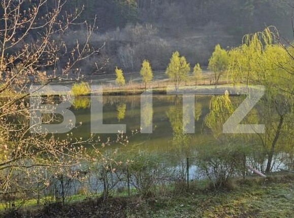 Casa de vânzare 7 camere Exterior Est - 138609CV | BLITZ Timișoara | Poza7