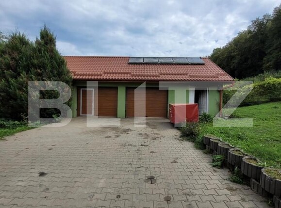 Casa de vânzare 7 camere Exterior Est - 138609CV | BLITZ Timișoara | Poza3