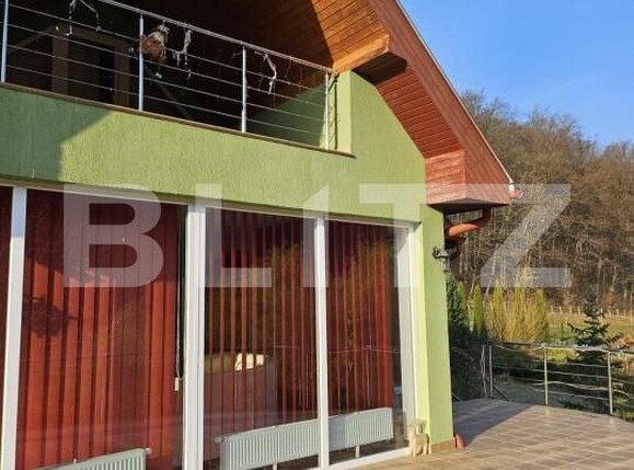 Casa de vânzare 7 camere Exterior Est - 138609CV | BLITZ Timișoara | Poza6