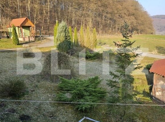 Casa de vânzare 7 camere Exterior Est - 138609CV | BLITZ Timișoara | Poza16