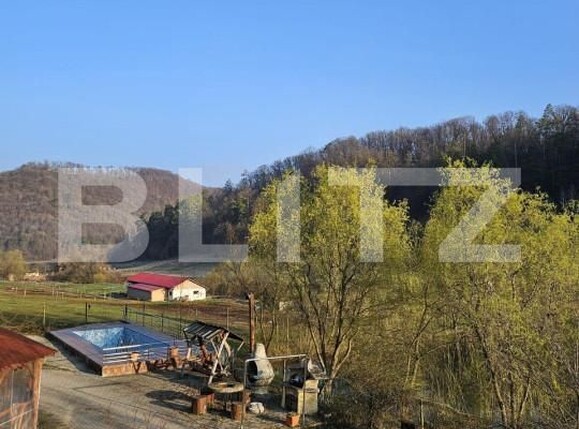 Casa de vânzare 7 camere Exterior Est - 138609CV | BLITZ Timișoara | Poza5