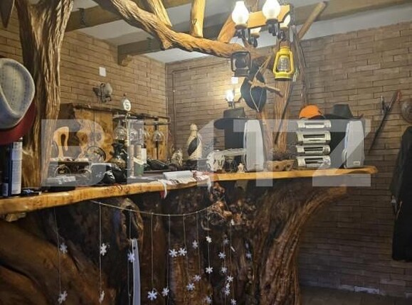 Casa de vânzare 7 camere Exterior Est - 138609CV | BLITZ Timișoara | Poza9