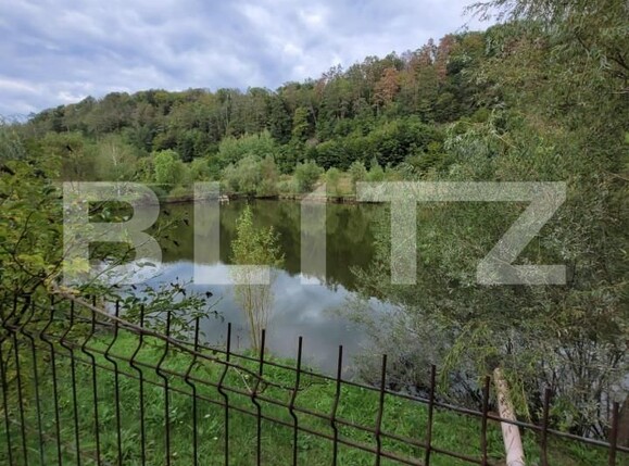 Casa de vânzare 7 camere Exterior Est - 138609CV | BLITZ Timișoara | Poza2