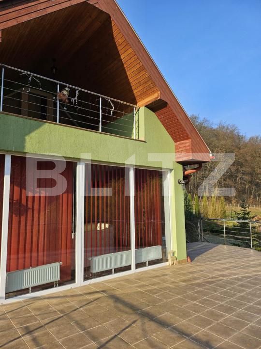 Casa de vânzare 7 camere Exterior Est - 138609CV | BLITZ Timișoara | Poza6