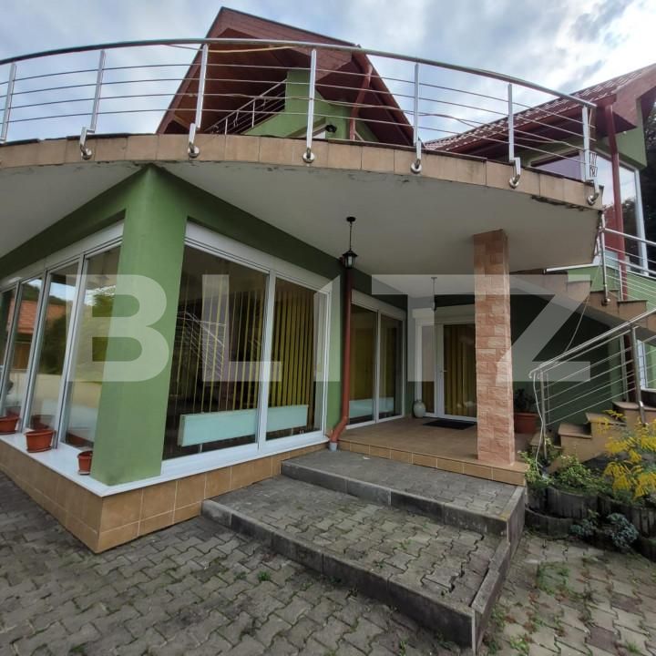 Casa de vânzare 7 camere Exterior Est - 138609CV | BLITZ Timișoara | Poza4