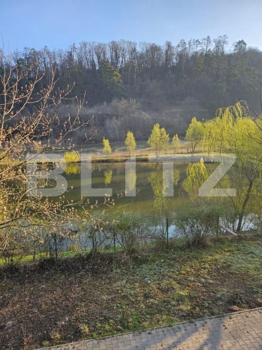 Casa de vânzare 7 camere Exterior Est - 138609CV | BLITZ Timișoara | Poza7