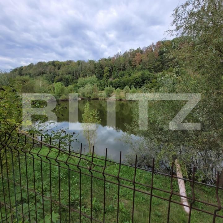 Casa de vânzare 7 camere Exterior Est - 138609CV | BLITZ Timișoara | Poza2