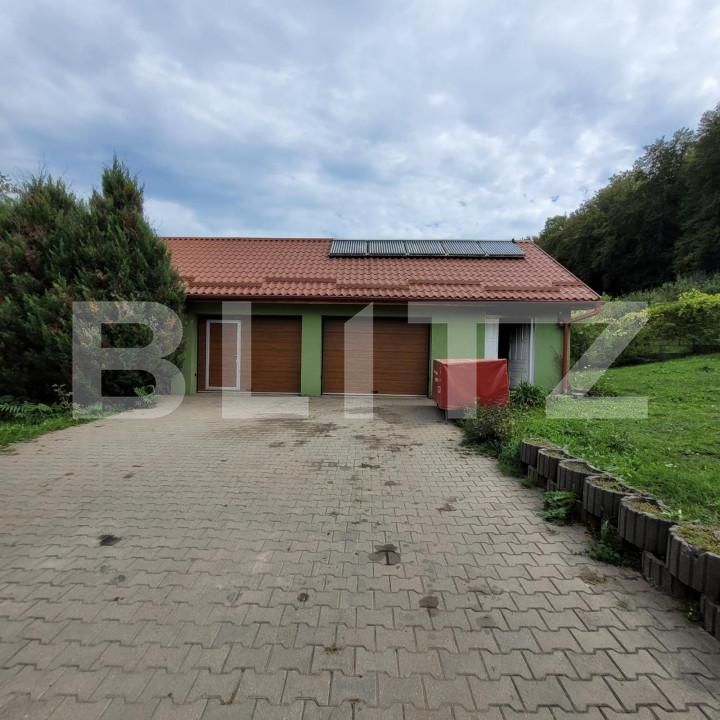 Casa de vânzare 7 camere Exterior Est - 138609CV | BLITZ Timișoara | Poza3