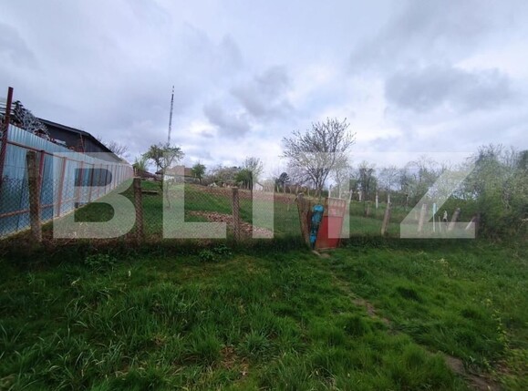 Casa de vânzare 5 camere Calea Urseni - 138629CV | BLITZ Timișoara | Poza1