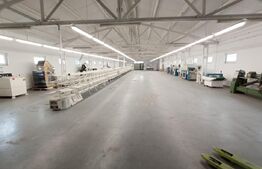 Hala de inchiriat, 995mp utili, impartita in doua, in Dumbravita