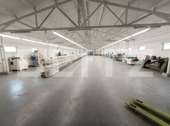 Spațiu industrial de închiriat Exterior Nord - 138658SII | BLITZ Timișoara | Poza3