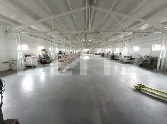 Spațiu industrial de închiriat Exterior Nord - 138658SII | BLITZ Timișoara | Poza2