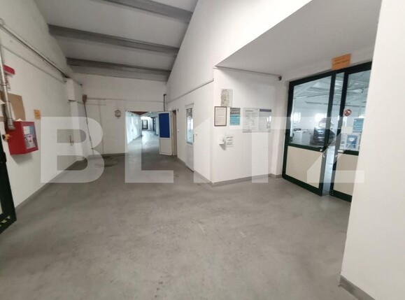 Spațiu industrial de închiriat Exterior Nord - 138658SII | BLITZ Timișoara | Poza4