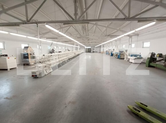 Spațiu industrial de închiriat Exterior Nord - 138658SII | BLITZ Timișoara | Poza1