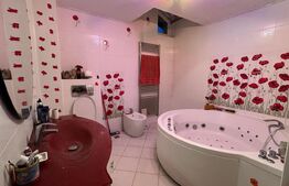 Duplex 5 camere, Su = 247mp, St= 645mp, Dumbravita