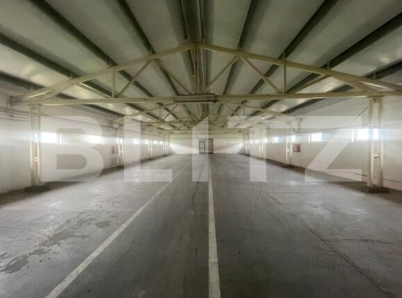 Spațiu industrial de închiriat Exterior Nord - 138728SII | BLITZ Timișoara | Poza1