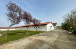 Hale de închiriat, 676 mp în Dumbrăvița