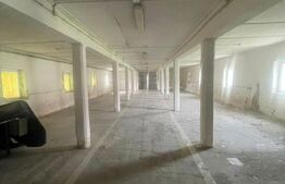 Hale de închiriat, 676 mp în Dumbrăvița