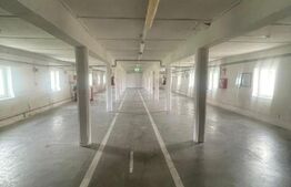 Hale de închiriat, 676 mp în Dumbrăvița