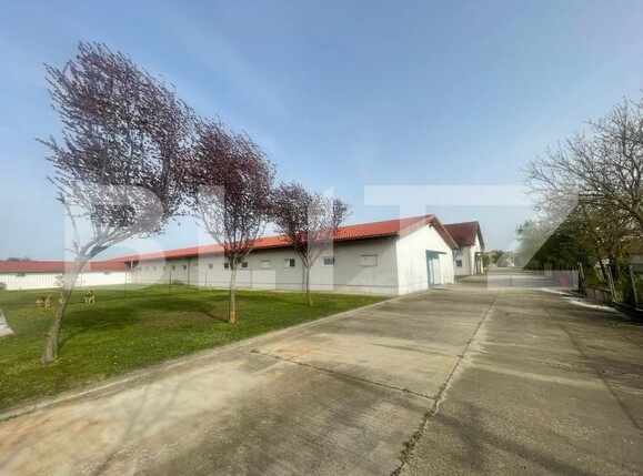 Spațiu comercial de închiriat Exterior Nord - 138786SIC | BLITZ Timișoara | Poza3