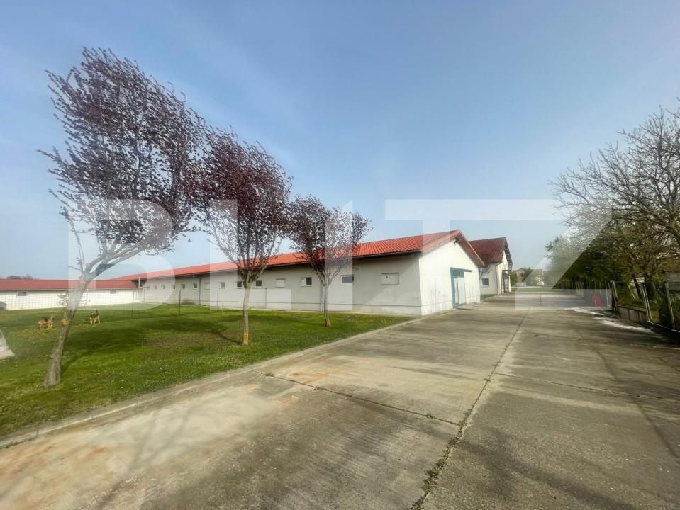 Spațiu comercial de închiriat Exterior Nord - 138786SIC | BLITZ Timișoara | Poza3