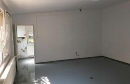 Spațiu Comercial, 75mp, Lipovei