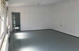 Spațiu Comercial, 75mp, Lipovei