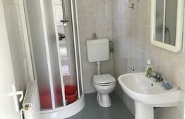 Spațiu Comercial, 75mp, Lipovei