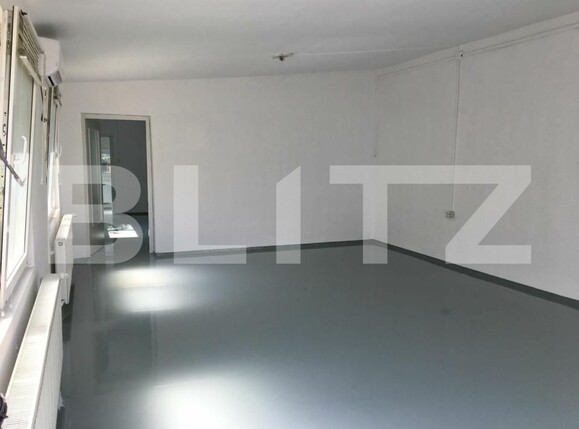 Spațiu comercial de închiriat Lipovei - 138810SIC | BLITZ Timișoara | Poza2