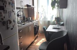 Apartament de vanzare, 1 camera, 33 mp, cochet, zona Sagului.