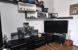 Apartament de vanzare, 1 camera, 33 mp, cochet, zona Sagului.