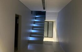 Vila, 8 camere, 790 mp utili, zona Lunei