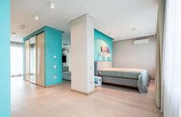 Vila, 8 camere, 790 mp utili, zona Lunei