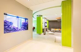 Vila, 8 camere, 790 mp utili, zona Lunei