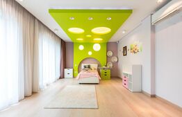 Vila, 8 camere, 790 mp utili, zona Lunei