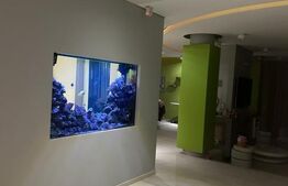 Vila, 8 camere, 790 mp utili, zona Lunei