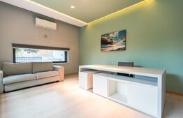 Vila, 8 camere, 790 mp utili, zona Lunei