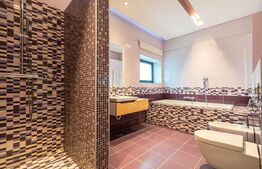 Vila, 8 camere, 790 mp utili, zona Lunei