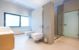 Vila, 8 camere, 790 mp utili, zona Lunei