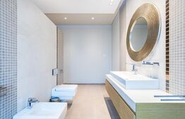 Vila, 8 camere, 790 mp utili, zona Lunei