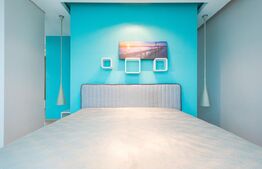 Vila, 8 camere, 790 mp utili, zona Lunei