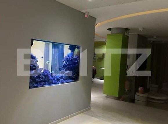 Casa de vânzare 8 camere Lunei - 139114CV | BLITZ Timișoara | Poza8