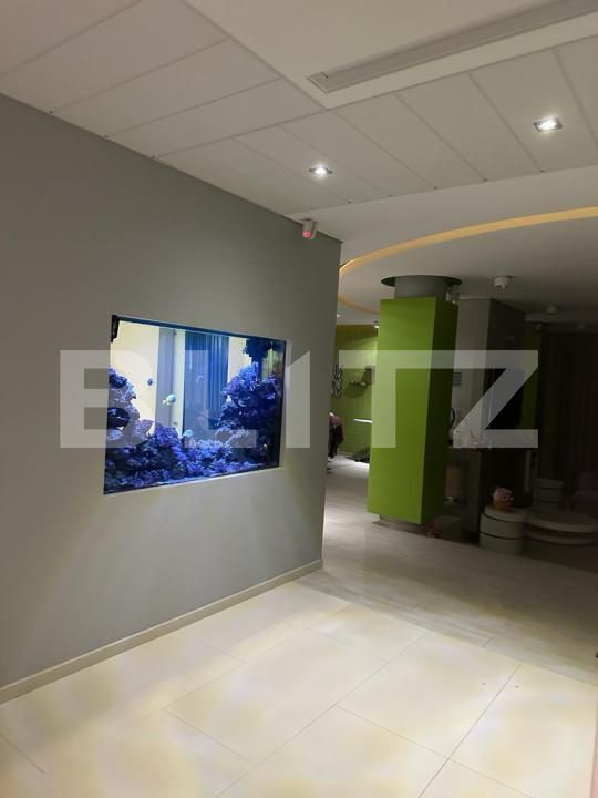 Casa de vânzare 8 camere Lunei - 139114CV | BLITZ Timișoara | Poza8