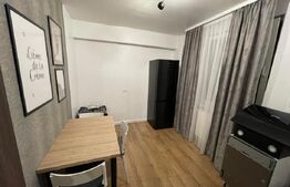 Apartament, 2 camere, 50mp, zona Piata Victoriei LUX