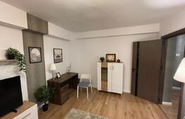 Apartament, 2 camere, 50mp, zona Piata Victoriei LUX