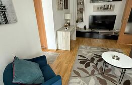 Apartament, 2 camere, 45 mp, zona Piata Victoriei 