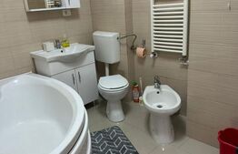 Apartament, 2 camere, 45 mp, zona Piata Victoriei 